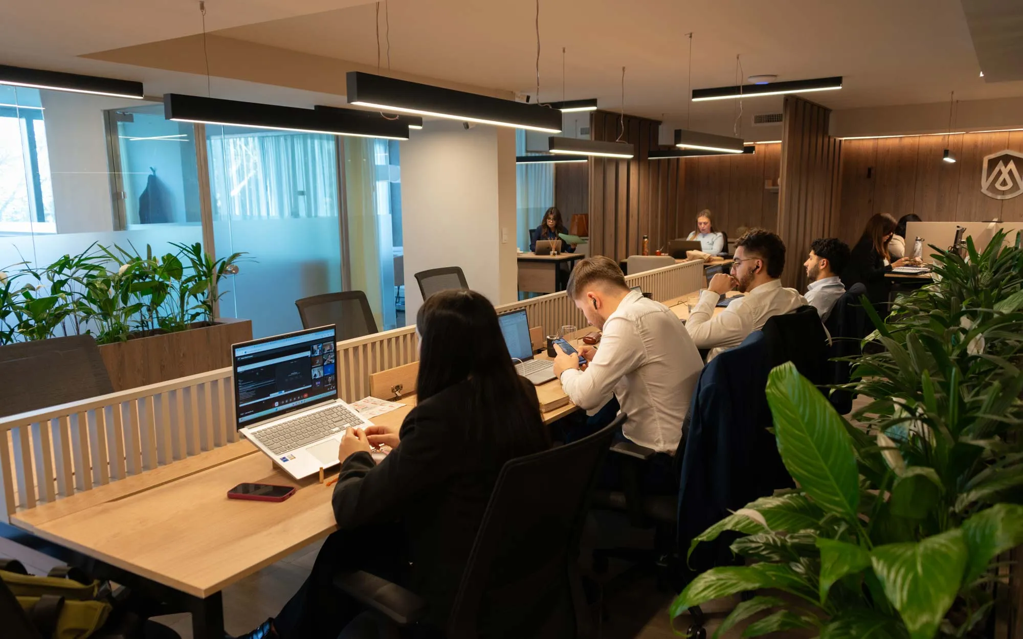 Equipo del estudio trabajando en la planta abierta rodeada de plantas